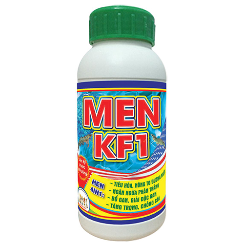 MEN KF1